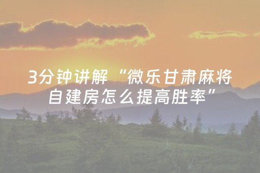 终于发现“微乐海南麻将胡牌器（专用辅牌神器免安装）