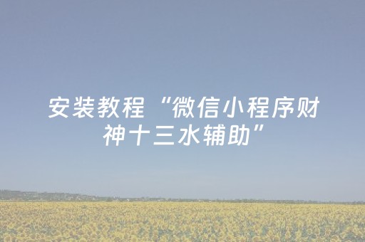 安装程序教程“微乐山东麻将自建房胜负规律”（挂件神器)