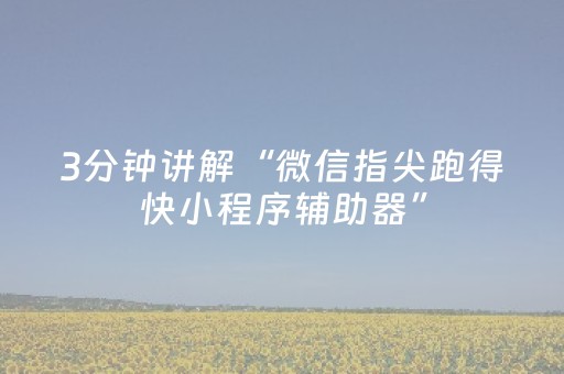 必备攻略“微乐麻将插件购买”（软件出售)