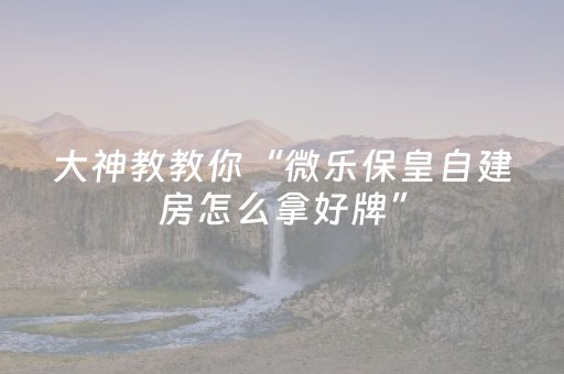 大神教教你“微乐河北麻将胡牌神器”（软件出售)