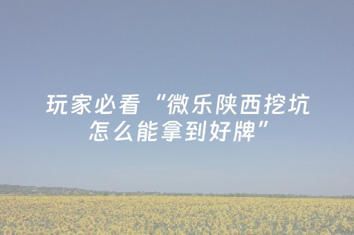 关于“微乐陕西挖坑助赢神器”（怎么能让牌好一点)