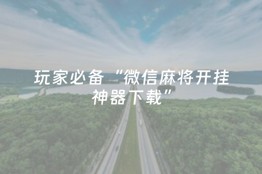 给大家科普一下“微乐广东麻将插件下载”（辅牌器插件购买)