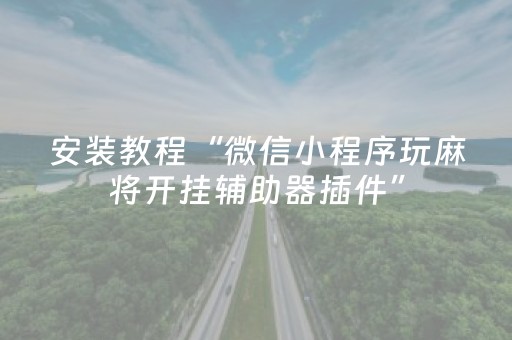 安装程序教程“微乐河南麻将专用神器下载”（开挂神器下载)