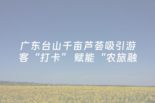 玩家必看科普“微乐麻将胡牌神器”（插件可信吗)