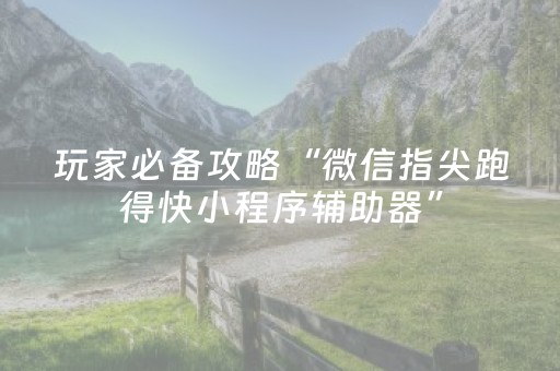 必备攻略“微乐锄大地辅助软件”（提高胜率技巧)