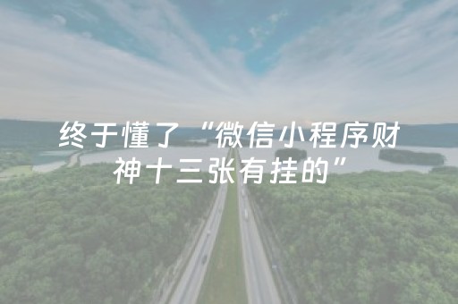 必备攻略“小程序微乐麻将怎么设置才能有好牌”（软挂神器)