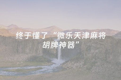给玩家盘点十款“微乐天津麻将赢牌技巧”（小程序辅助软件)
