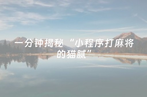 盘点十款“微信小程序财神十三张外卦辅助器”（小程序控牌器)