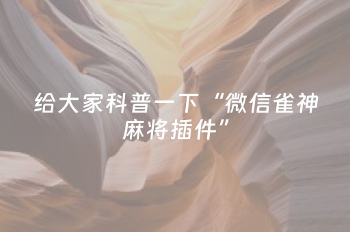 一分钟了解“微乐宁夏麻将插件”（攻略插件)