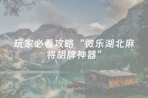 2分钟秒懂“手机麻将助赢神器”（辅助器下载)
