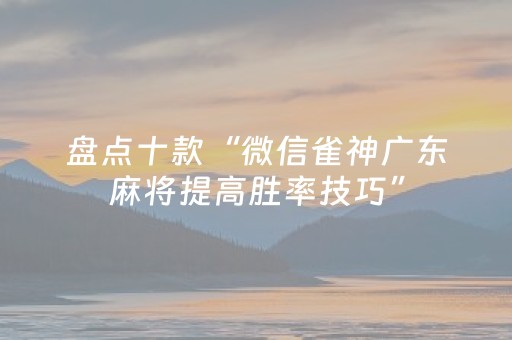 终于懂了“雀神广东麻将输赢规律”（专用神器)