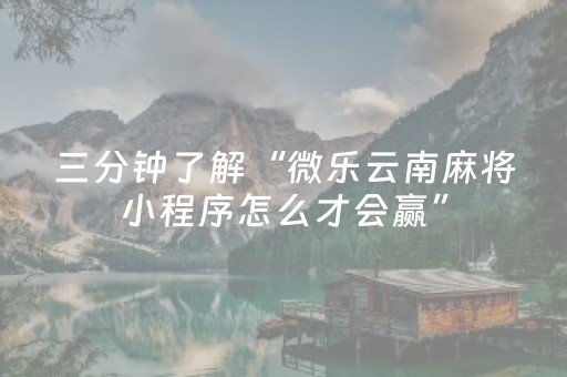 介绍十款“微乐宁夏麻将插件”（软件出售)