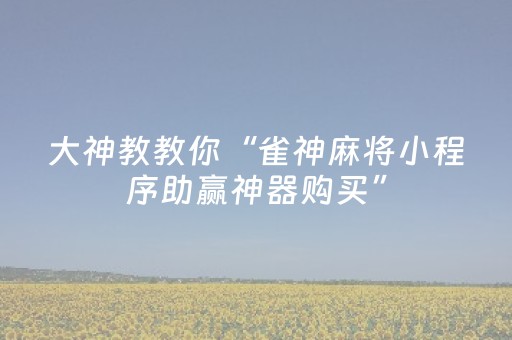 分享玩家攻略“微乐海南麻将免费专用神器”（辅助器通用版)