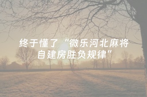 推荐十款“微乐甘肃麻将自建房胜负规律”（怎么能得到好牌)