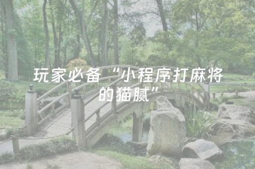 大神教教你“微乐麻将胡牌神器”（辅牌器插件购买)