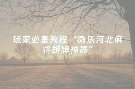 厉害了“微乐山西麻将插件”（开挂辅助器脚本)