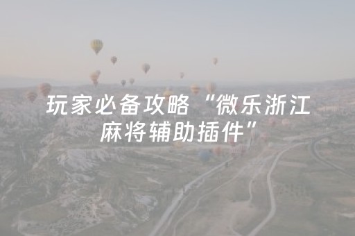 必备攻略“微乐福建麻将专用神器”（辅助挂发牌规律)
