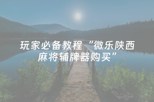 终于懂了“小程序微乐麻将万能开挂器”（AI辅助胡牌规则)