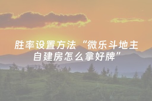 厉害了“微信财神十三张小程序如何赢分”（辅助器通用版)
