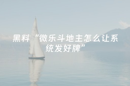 关于“微乐斗地主自建房怎么拿好牌”（透明挂辅助器)