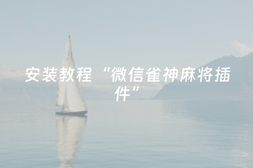 介绍十款“微乐宁夏麻将插件”（AI辅助胡牌规则)