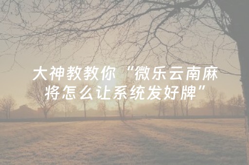 大神教教你“微乐云南麻将怎么让系统发好牌”（有什么规律)