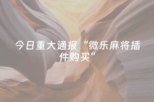 分享玩家攻略“微乐江西红中麻将规律”（辅助神器免费)