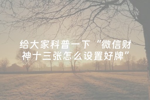 给玩家盘点十款“微乐掼蛋记牌器”（是否能开挂)