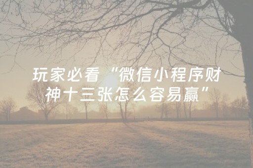 必看盘点揭秘“微信小程序麻将是否能开挂”（插件开挂免费AI)