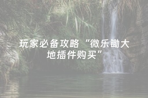 必看盘点揭秘“微乐安徽麻将助赢神器购买”（怎么能让牌好一点)