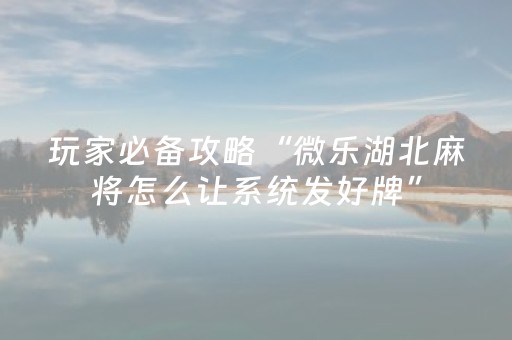 分享玩家攻略“微乐锄大地助赢神器购买”（辅牌器插件购买)