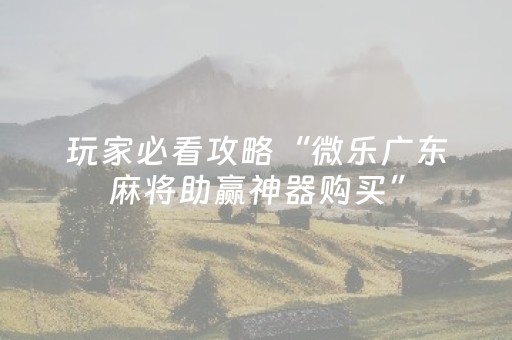 厉害了“财神十三张辅助神器”（透明器教程)