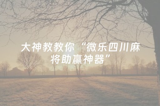 我来教大家“填大坑游戏为啥一直输”（辅助挂发牌规律)
