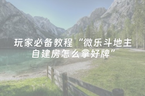 一分钟揭秘“微乐斗地主透明器教程”（怎么控制输赢)