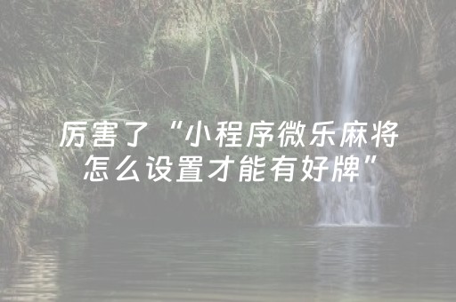 厉害了“小程序微乐麻将怎么设置才能有好牌”（专用神器下载)