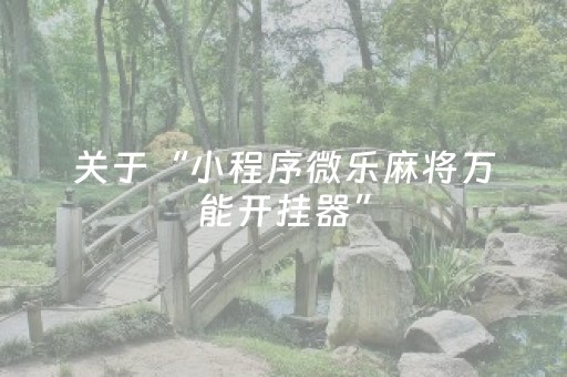必备教程“小程序微乐麻将的胡牌规则”（外辅工具)