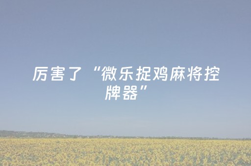 武汉最佳攻略二日游（武汉旅游攻略二日游武汉著名景点）