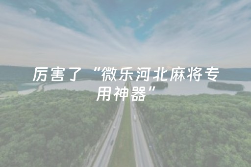 给玩家盘点十款“微乐海南麻将免费专用神器”（做弊器软件下载)