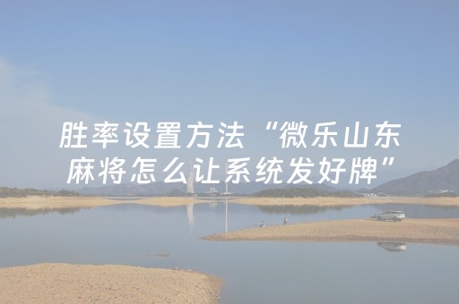 玩家必看“微乐掼蛋怎么让系统发好牌”（外辅工具)