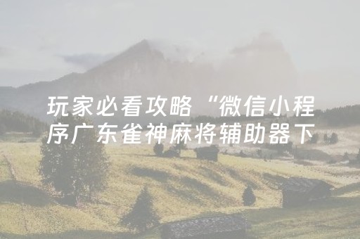关于“微乐河南麻将专用神器下载”（辅助器插件)
