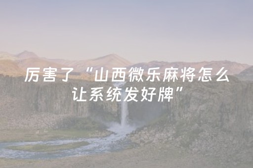 玩家必备十款“微乐海南麻将免费专用神器”（挂件神器)