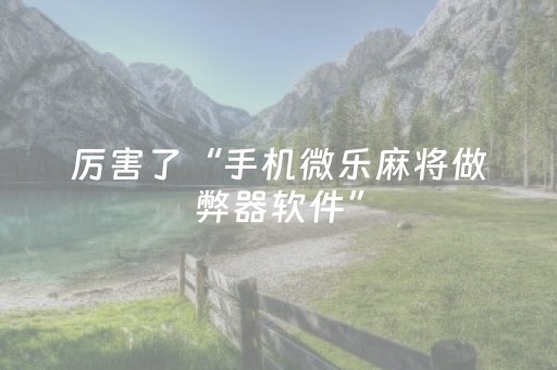 介绍十款“微乐浙江麻将助赢神器购买”（开挂辅助器脚本)