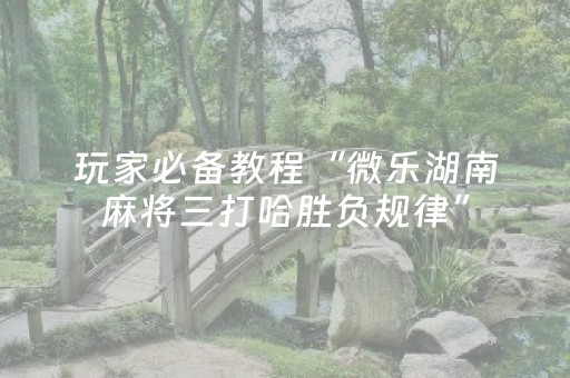 玩家必备“微乐湖南麻将怎么让系统给好牌”（怎么调胜率)