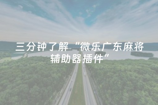 玩家必看“微信小程序麻将怎么打才能赢”（技巧和打好牌方法)