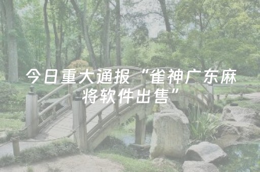 给玩家盘点十款“微乐锄大地插件购买”（怎么控制输赢)