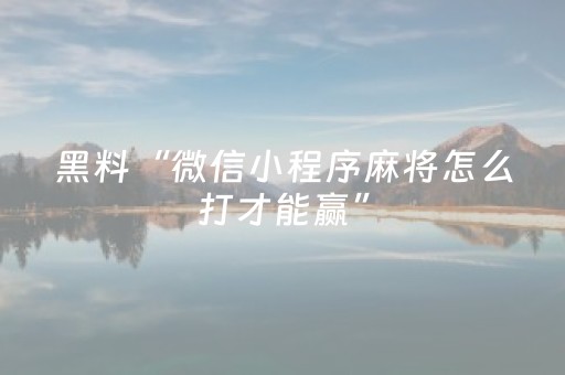 盘点十款“微信小程序麻将怎么提高胜率”（透明器教程)