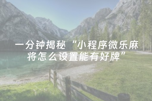 终于发现了“微乐棋牌透牌器（专用辅牌神器免安装）