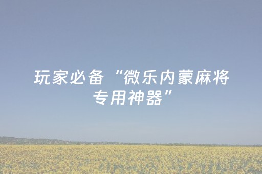 玩家实测“小程序麻将游戏防作弊（专用辅牌神器免安装）