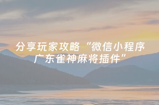 玩家必备教程“微信微乐麻将插件安装教程（专用辅牌神器免安装）