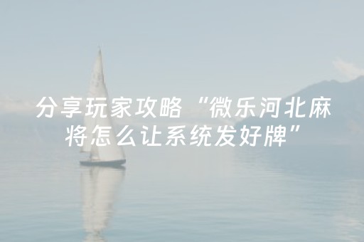 实测分享“中至小程序辅助器（专用辅牌神器免安装）